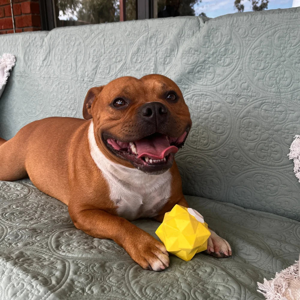 Monster Treat Toy Yellow