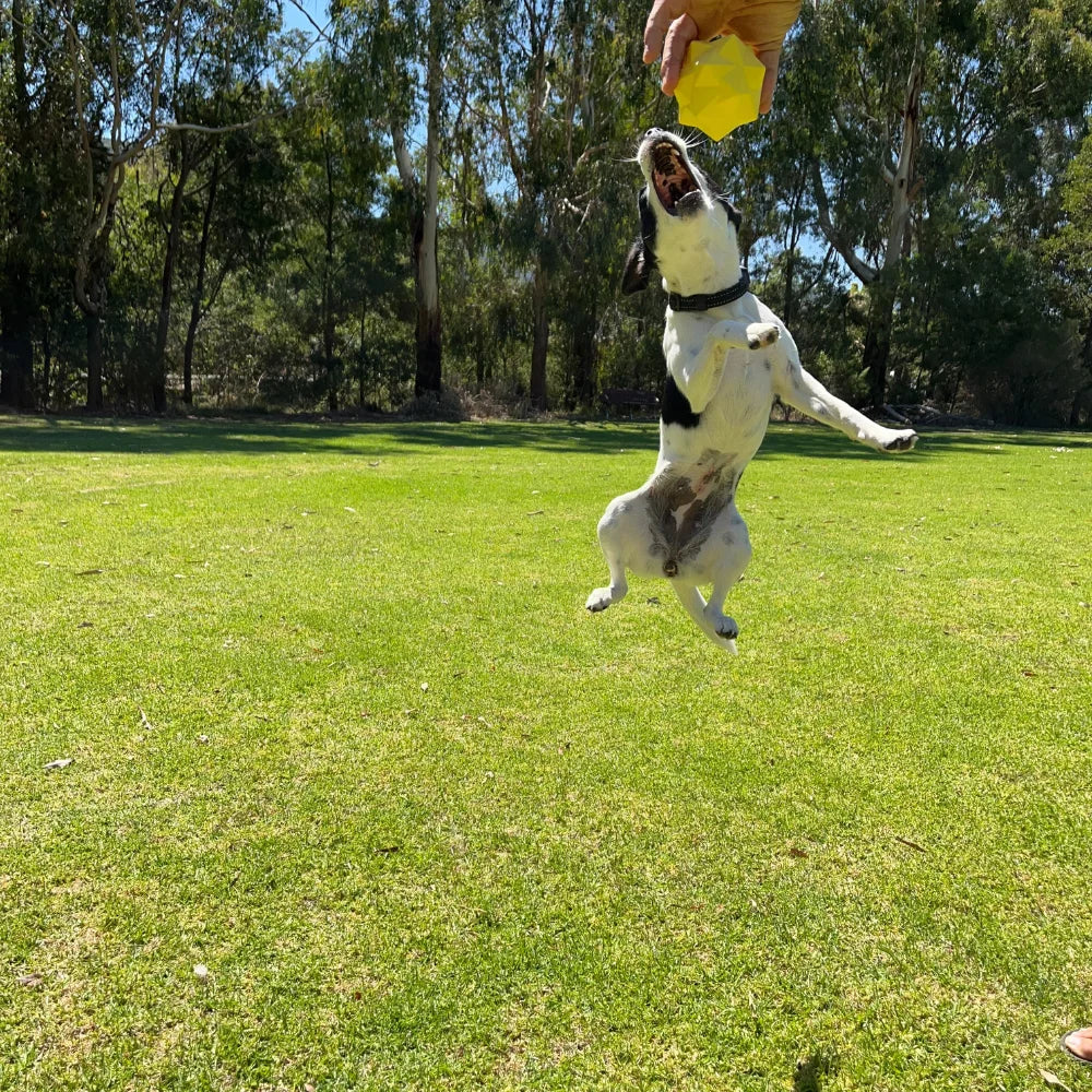 Monster Treat Toy Yellow